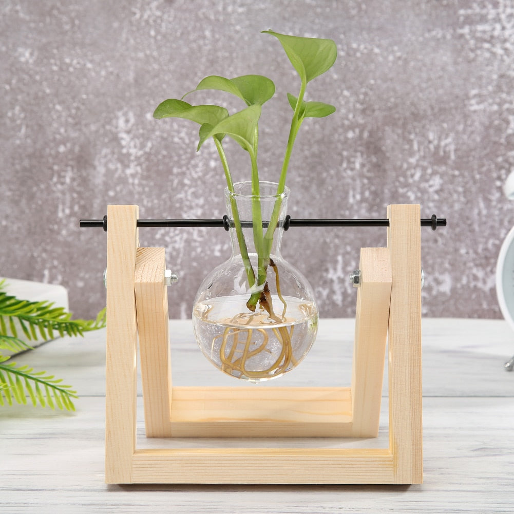 Glass and Wood Vase Planter Terrarium Table Desktop Hydroponics Plant Bonsai Flower