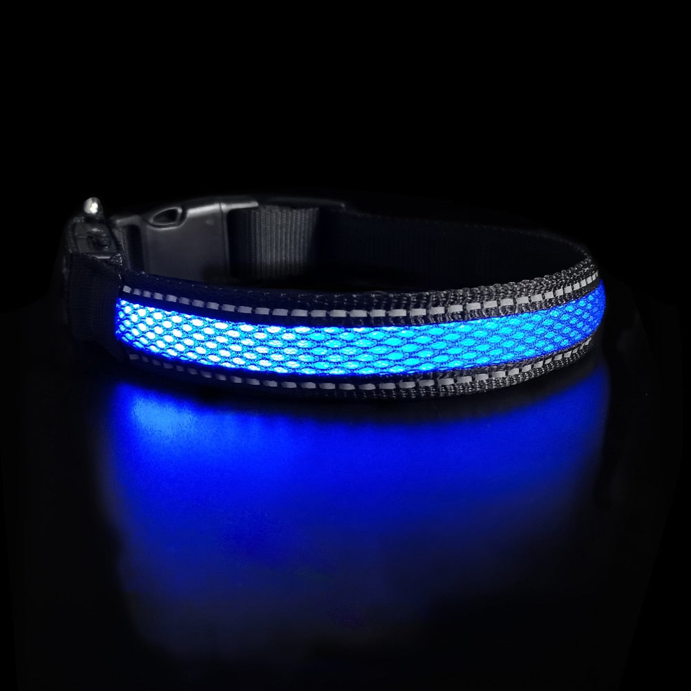 LED Dog Collar - northstarhomeandgarden