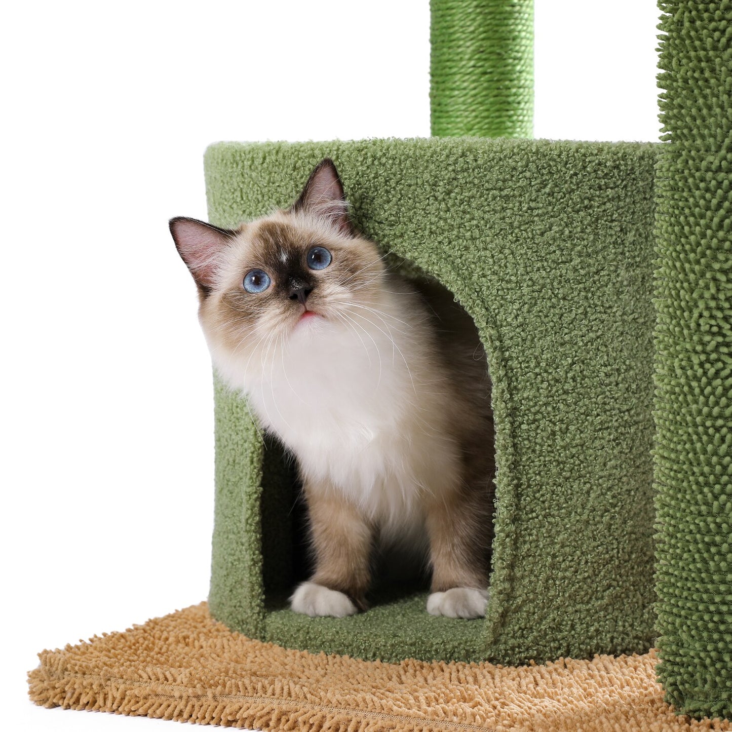 Cat Tree Tower Cat's House with Scratching Post Cute Cactus Play House