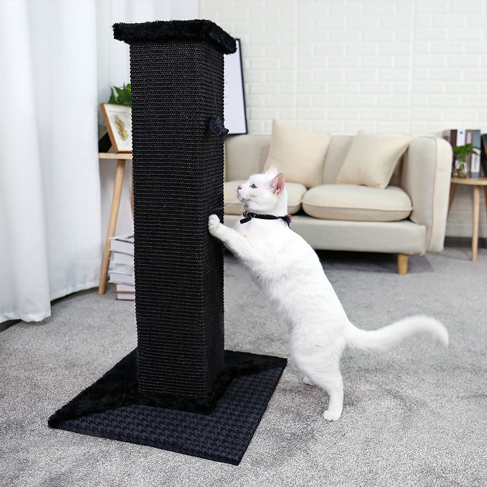 H82cm Pet Cat Tree Scratching Post for Indoor Plush Top Perch Stable Durable with Ball Black Natural Sisal Protecting Furniture