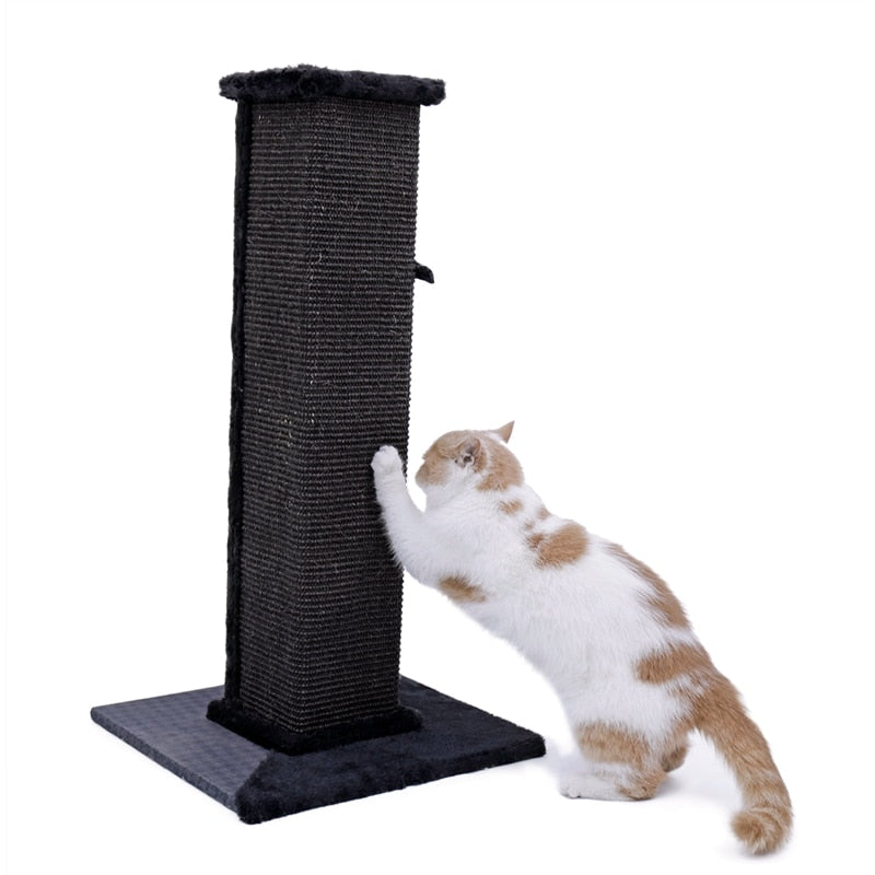 H82cm Pet Cat Tree Scratching Post for Indoor Plush Top Perch Stable Durable with Ball Black Natural Sisal Protecting Furniture