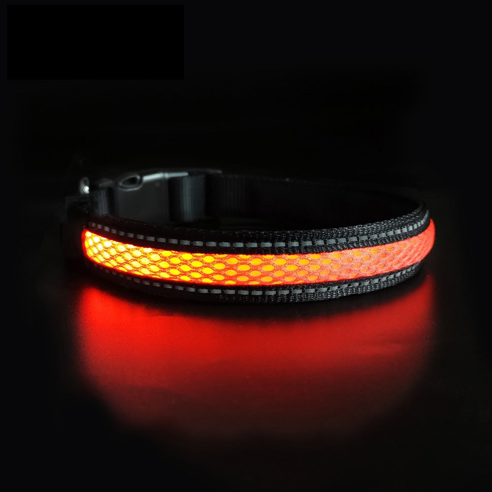 LED Dog Collar - northstarhomeandgarden