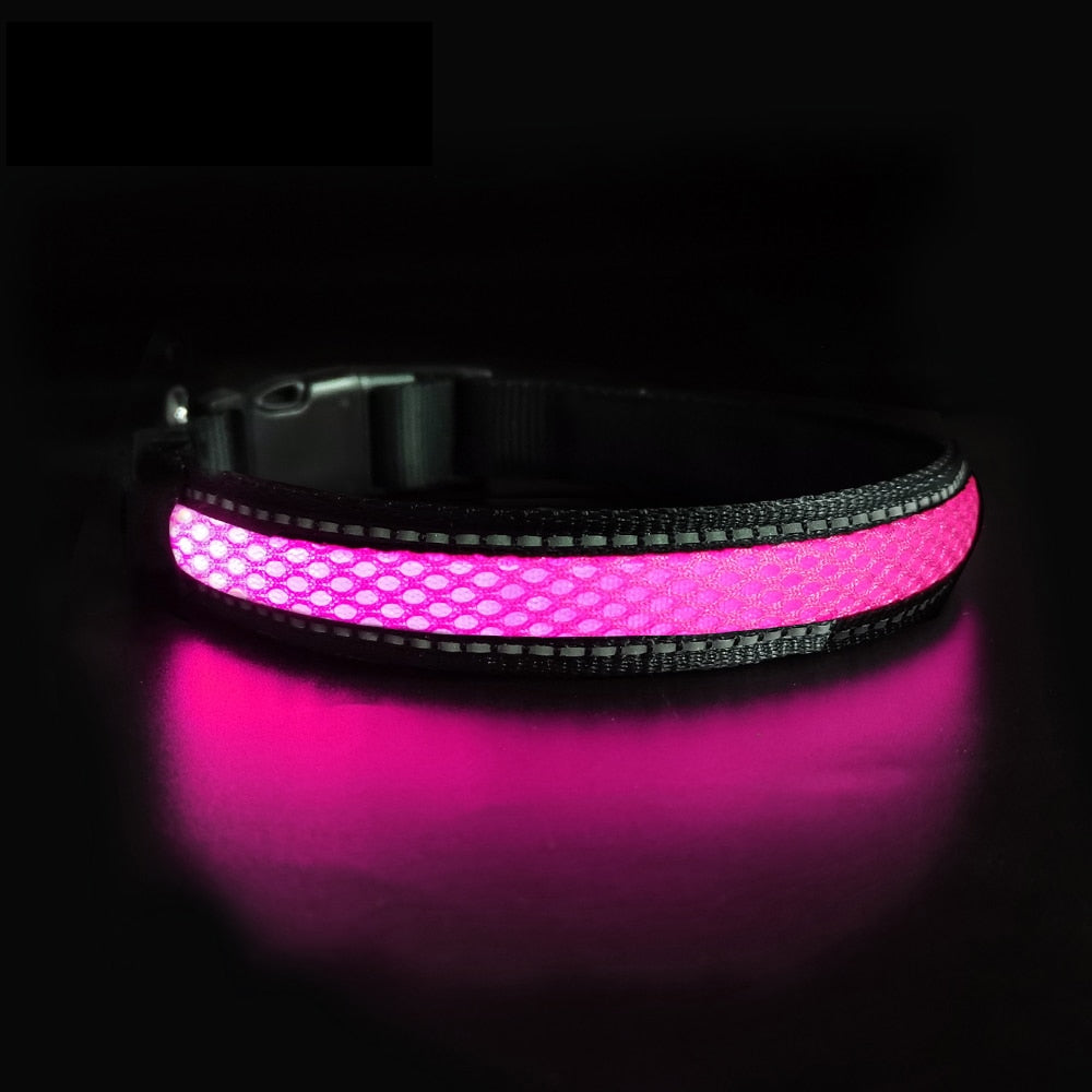 LED Dog Collar - northstarhomeandgarden