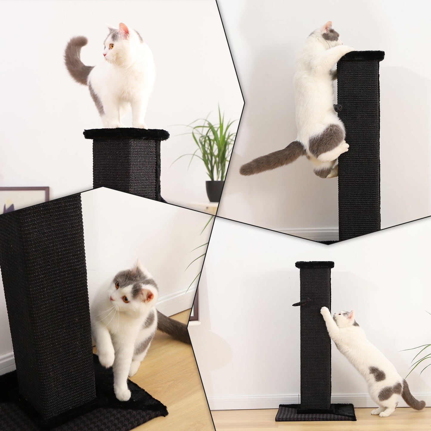 H82cm Pet Cat Tree Scratching Post for Indoor Plush Top Perch Stable Durable with Ball Black Natural Sisal Protecting Furniture