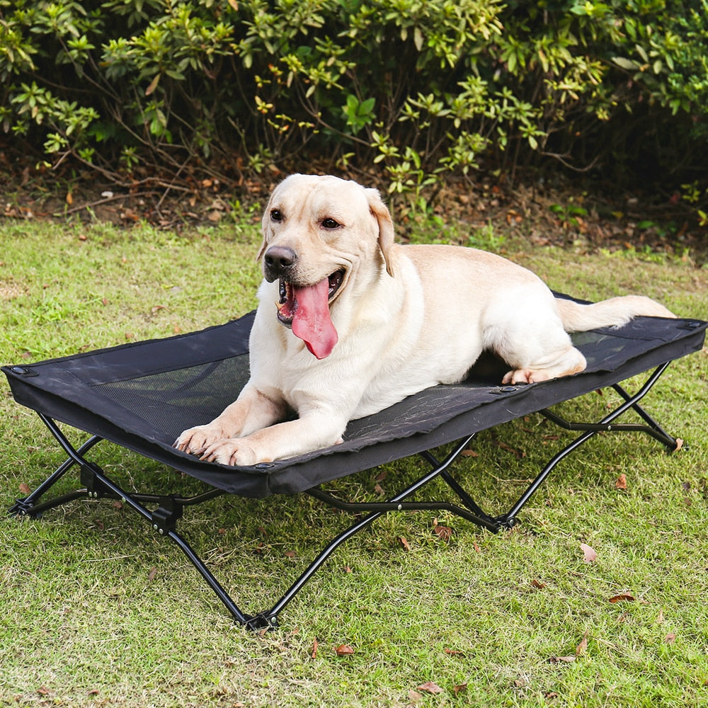 Large Elevated Folding Pet Bed Cot Travel Portable Breathable Cooling Mesh Sleeping Dog Bed