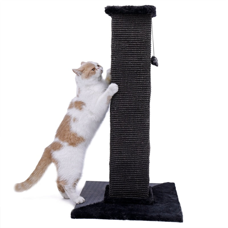 H82cm Pet Cat Tree Scratching Post for Indoor Plush Top Perch Stable Durable with Ball Black Natural Sisal Protecting Furniture