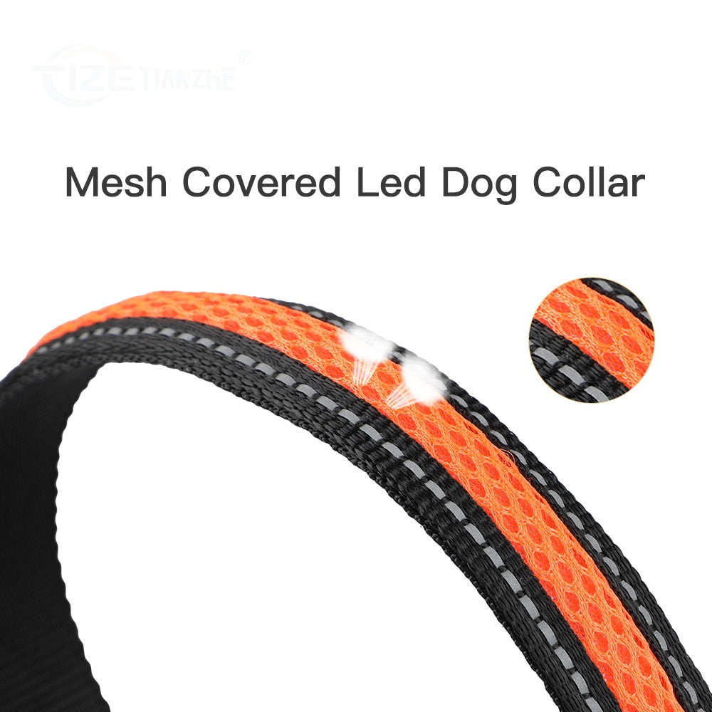 LED Dog Collar - northstarhomeandgarden