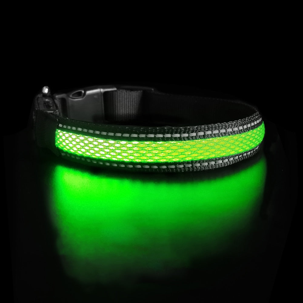 LED Dog Collar - northstarhomeandgarden