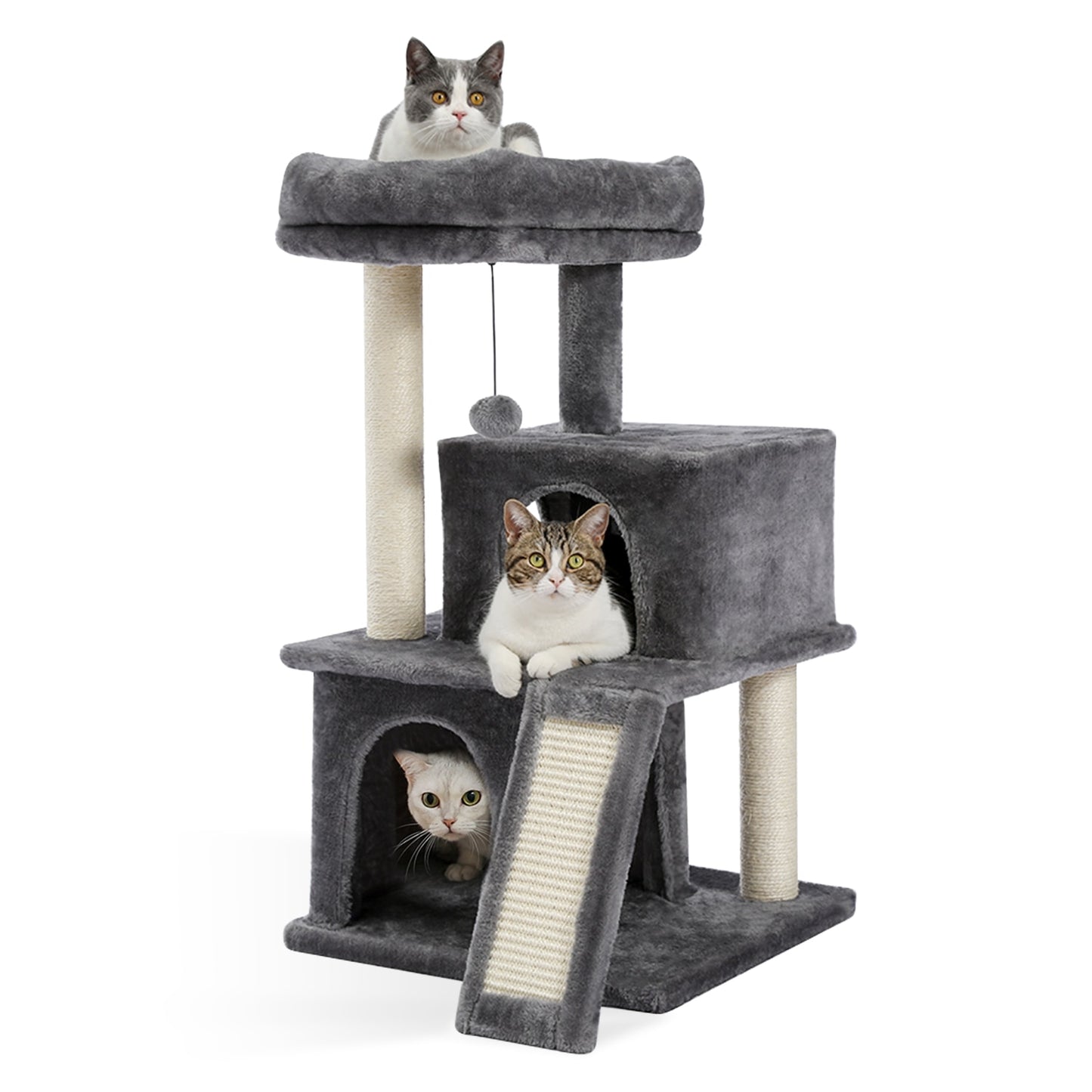 Free Shipping Luxury Cat Tree Condo