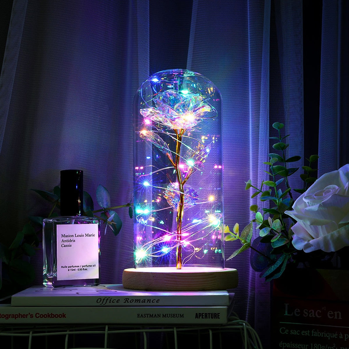 Gold Foil Galaxy LED Rose Night Light