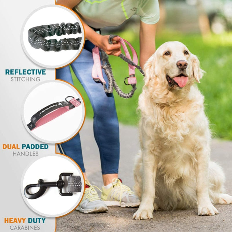 2M Retractable Dog Leash Hands Free Jogging Leash - northstarhomeandgarden