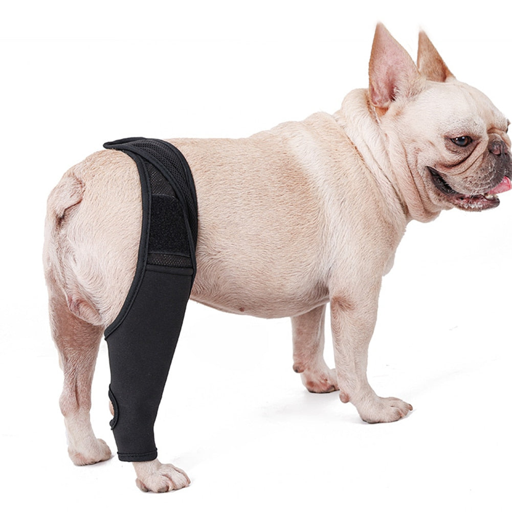 Pet Dog Injury Leg Brace Strap Protection Joint Bandag