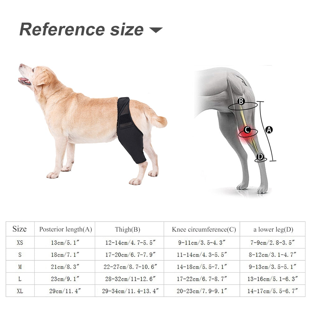 Pet Dog Injury Leg Brace Strap Protection Joint