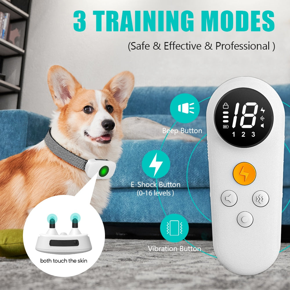 Rechargeable Electric Training Collar - northstarhomeandgarden