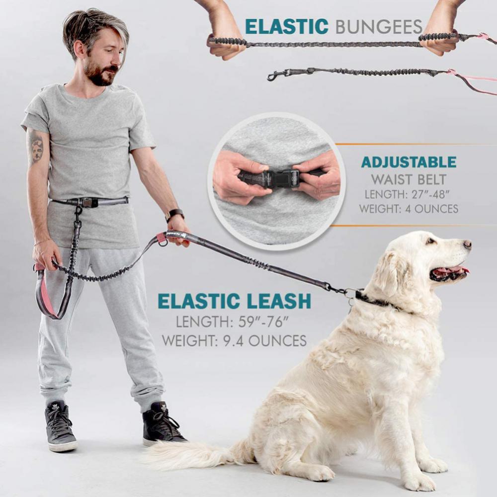 2M Retractable Dog Leash Hands Free Jogging Leash - northstarhomeandgarden