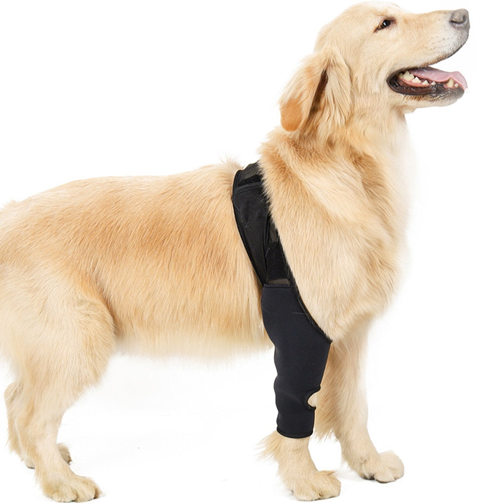 Pet Dog Injury Leg Brace Strap Protection Joint