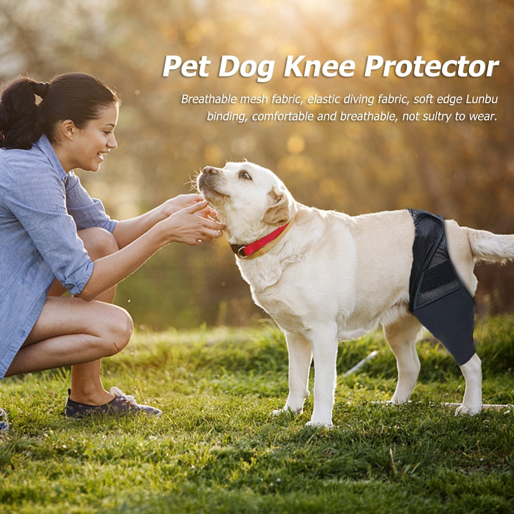 Pet Dog Injury Leg Brace Strap Protection Joint