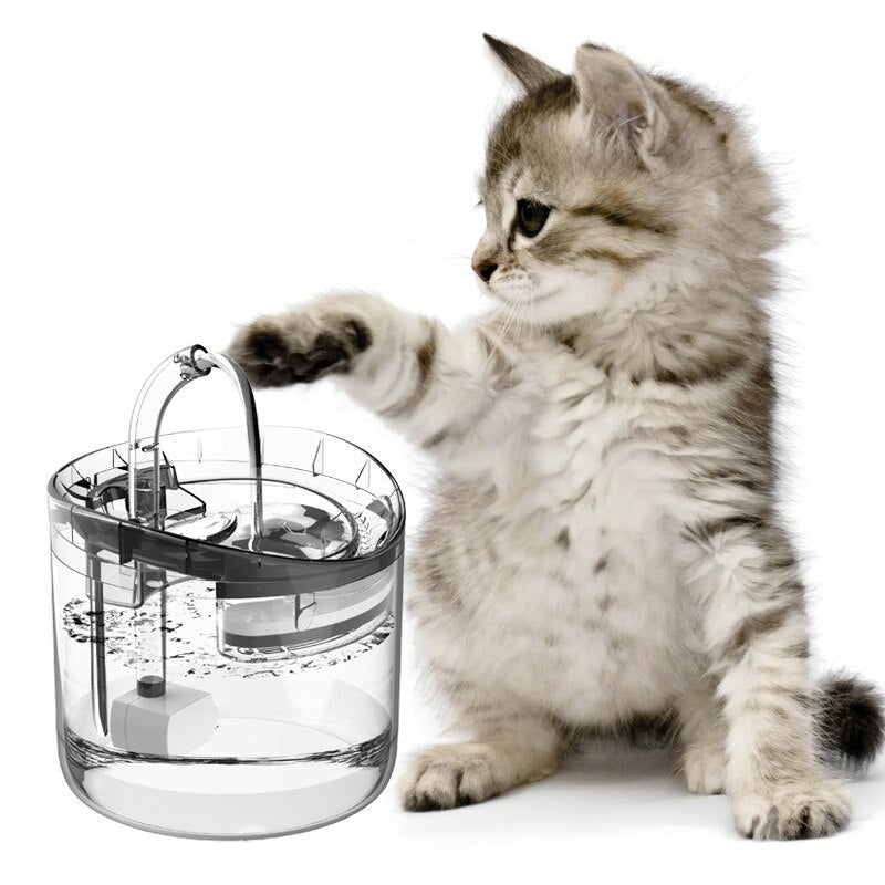 Pet Water Dispenser Automatic Circulation Intelligent Constant Temperature