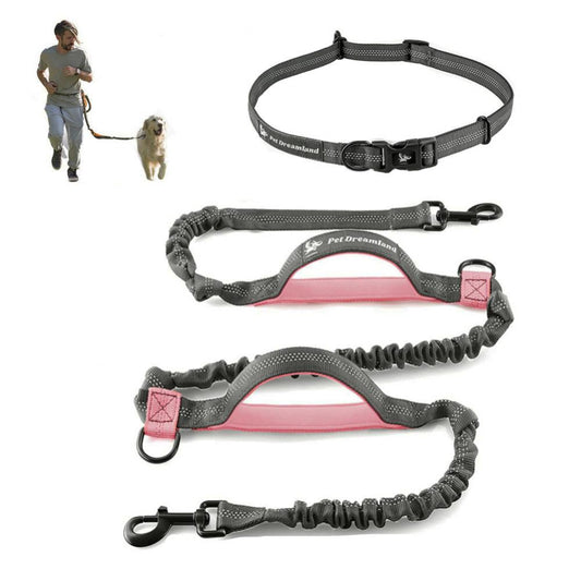 2M Retractable Dog Leash Hands Free Jogging Leash - northstarhomeandgarden