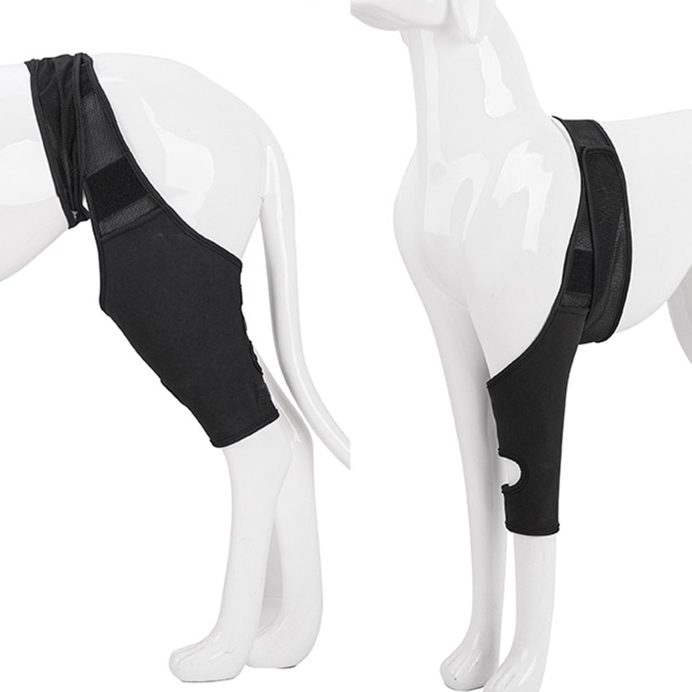 Pet Dog Injury Leg Brace Strap Protection Joint