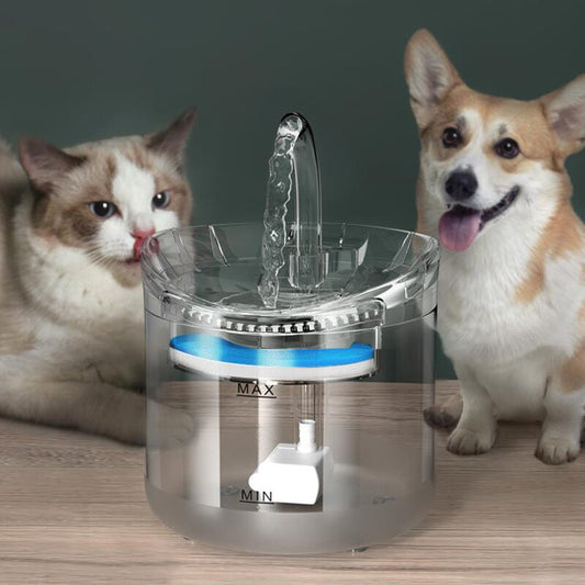 Pet Water Dispenser Automatic Circulation Intelligent Constant Temperature