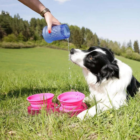 Rubber Foldable Double Bowl Pet Feeding Outdoor Travel Dog